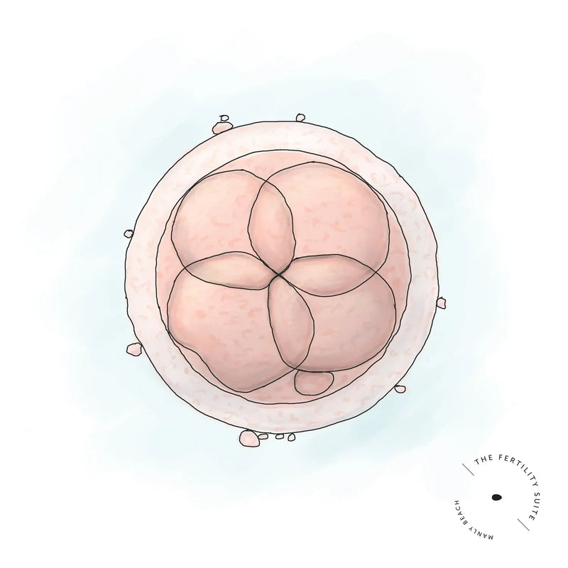 3 lifestyle modifications for your IVF stimulation phase