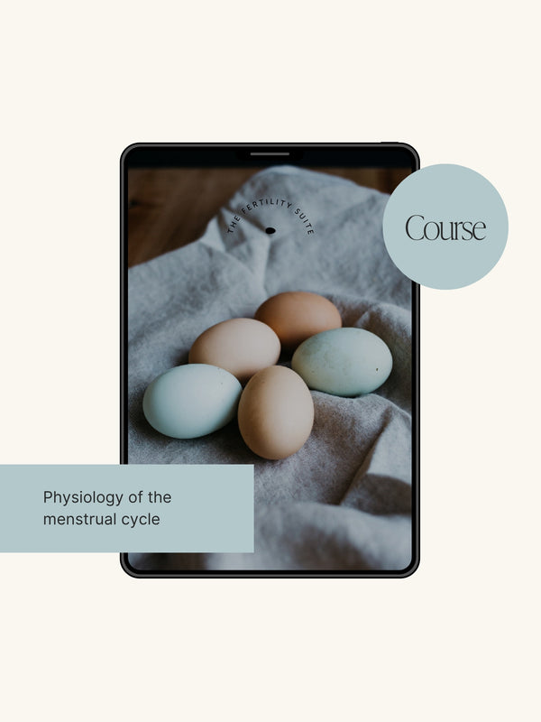 Your guide through the physiology of the menstrual cycle