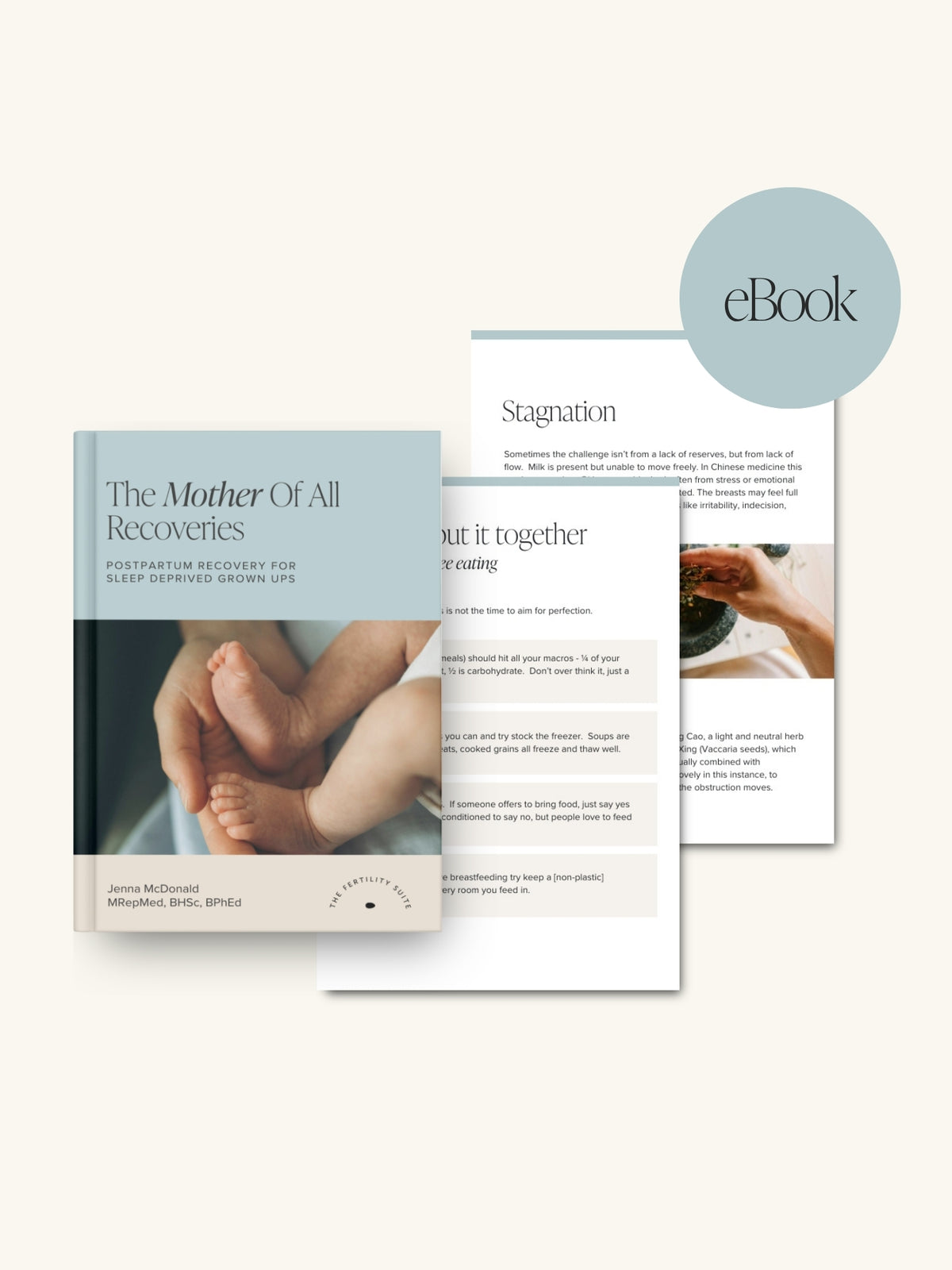 The Mother Of All Recoveries eBook – The Fertility Suite